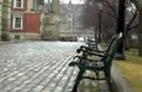 Park of Lonely Benches 